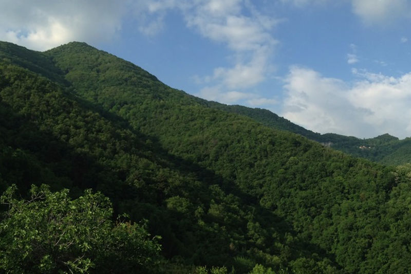 Monte Misma Oasi Valpredina